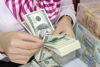 Thông điệp cứng rắn về tỷ giá 2014